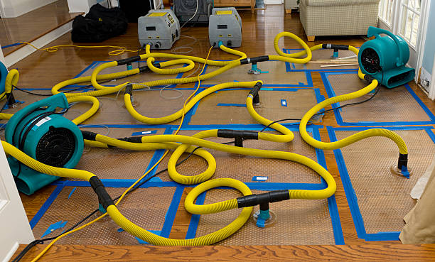 Professional Structural Drying And Dehumidification technician working in Osteen, FL